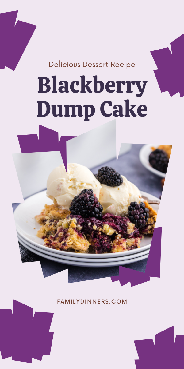 text: blackberry dump cake recipe - 10 minute prep - image of vanilla ice cream scoops with blackberries on top of blackberry dump cake