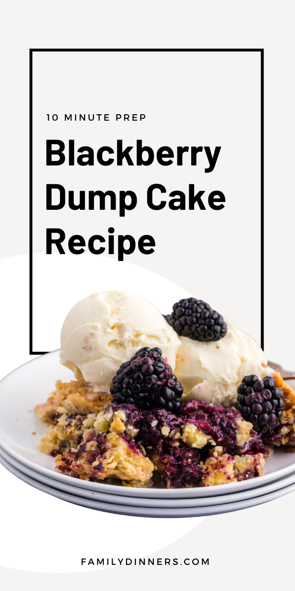 text: blackberry dump cake recipe - 10 minute prep - image of vanilla ice cream scoops with blackberries on top of blackberry dump cake