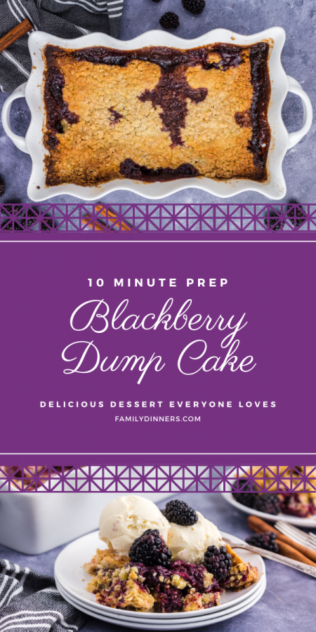 text: blackberry dump cake recipe - 10 minute prep - image of vanilla ice cream scoops with blackberries on top of blackberry dump cake