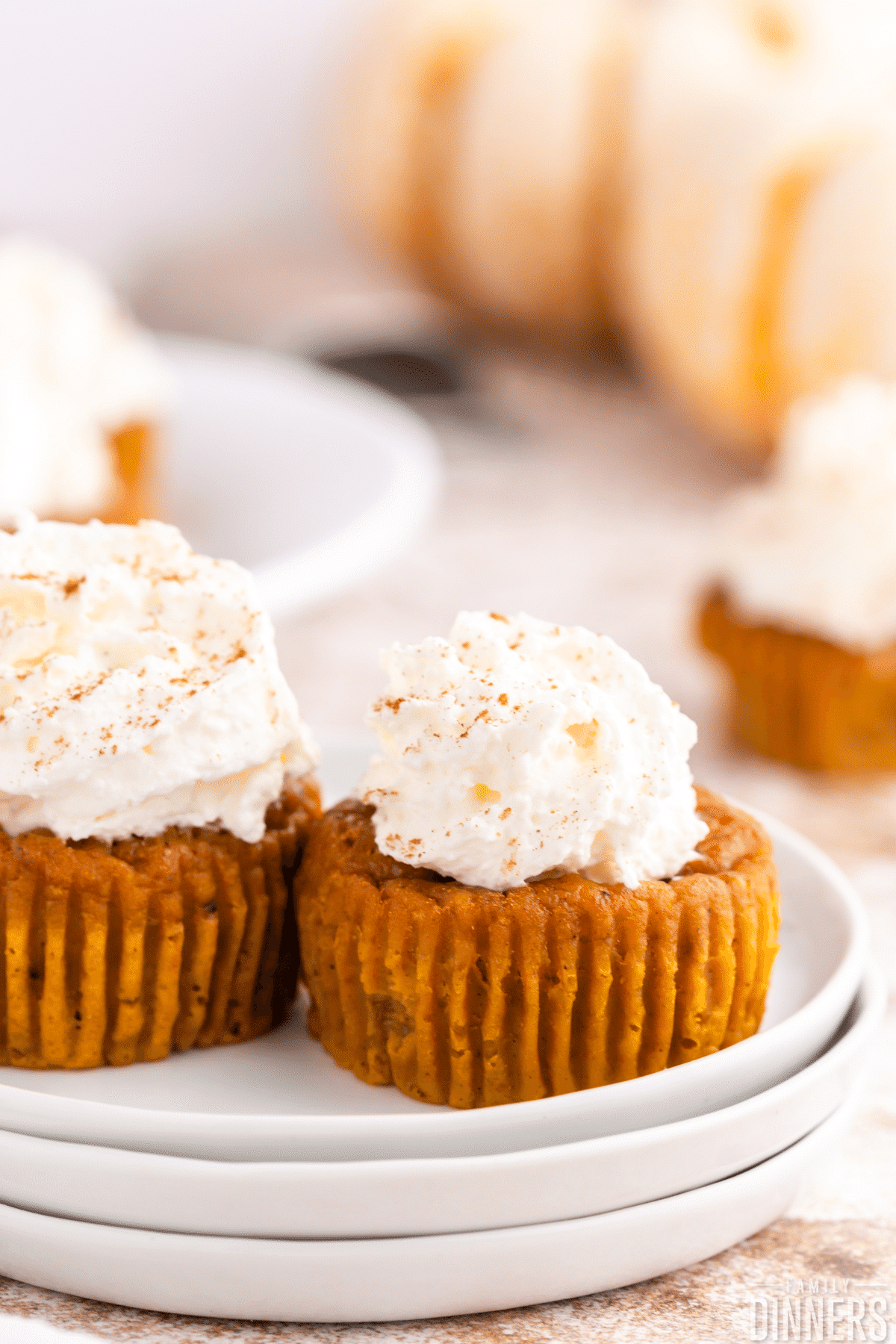2 pumpkin pie cupcakes on a a white plate topped with whipped cream for a holiday dessert