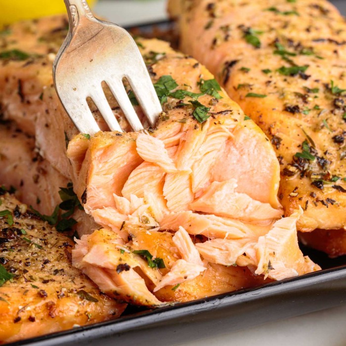 Air Fryer Salmon with Garlic Lemon Rub - Family Dinners