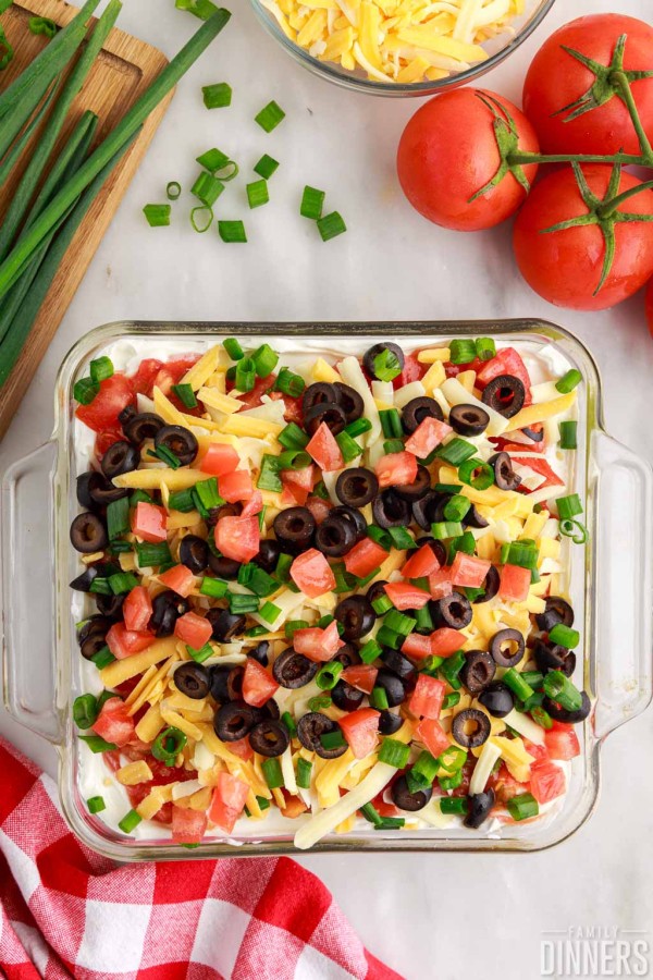 tomatoes, cheese, olives and green onions on top.