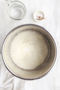 Rice and water in instant pot.