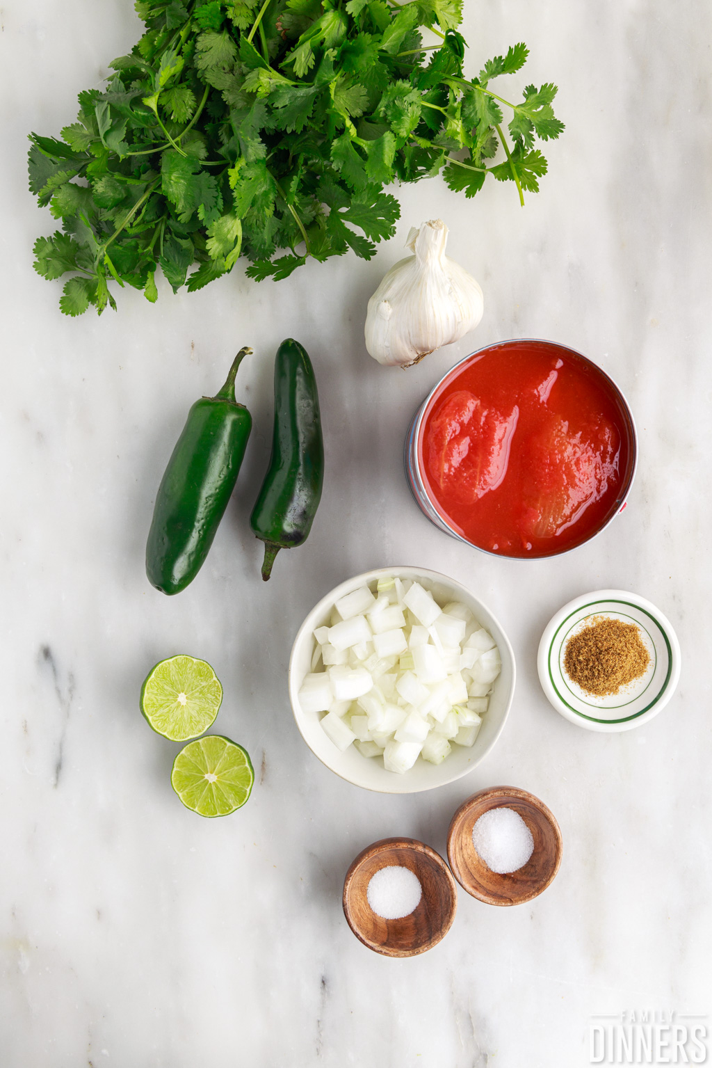 ingredients for salsa recipe with canned tomatoes