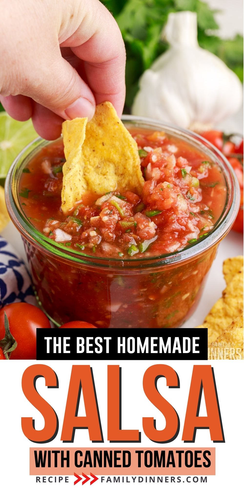 Salsa Recipe with Canned Tomatoes Family Dinners