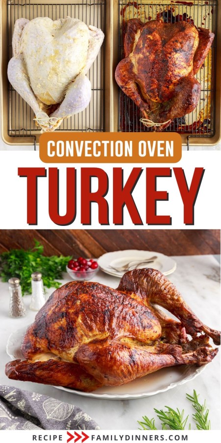Convection oven turkey collage.