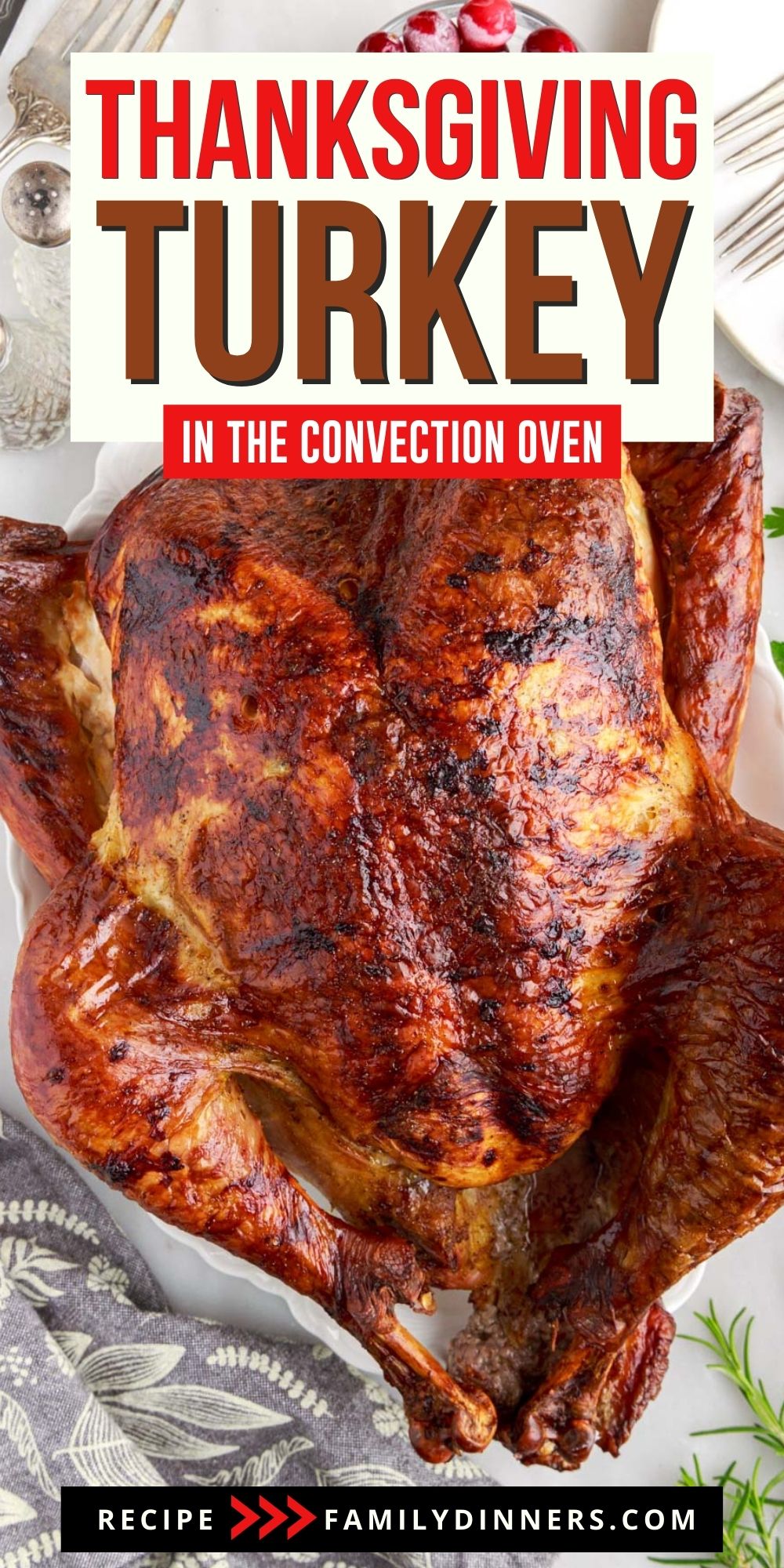 Easy Convection Oven Turkey Recipe