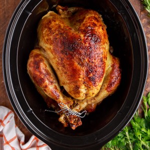 close up of cooked turkey in a crockpot
