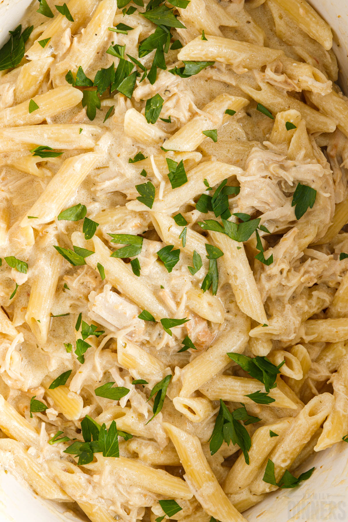 close up of olive garden chicken pasta with parsley on top