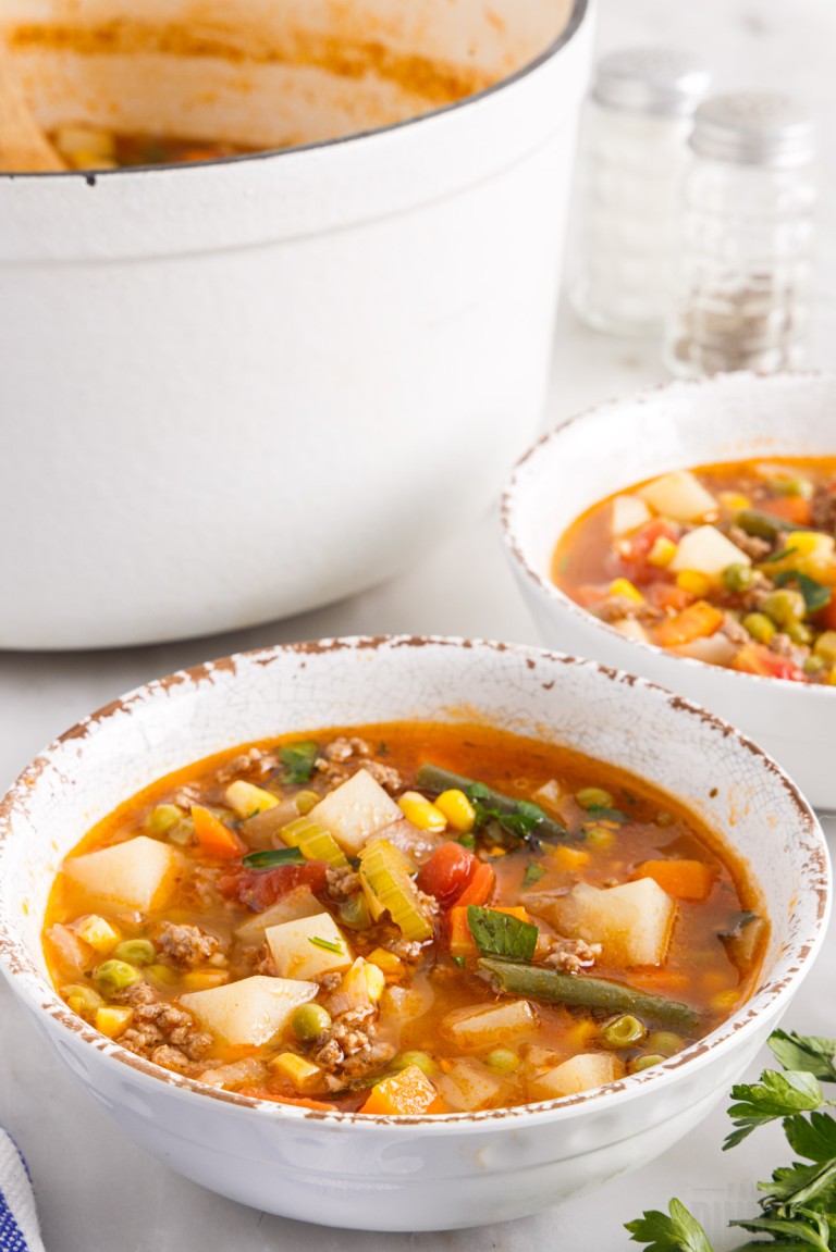 Ground Beef Vegetable Soup Recipe - Family Dinners