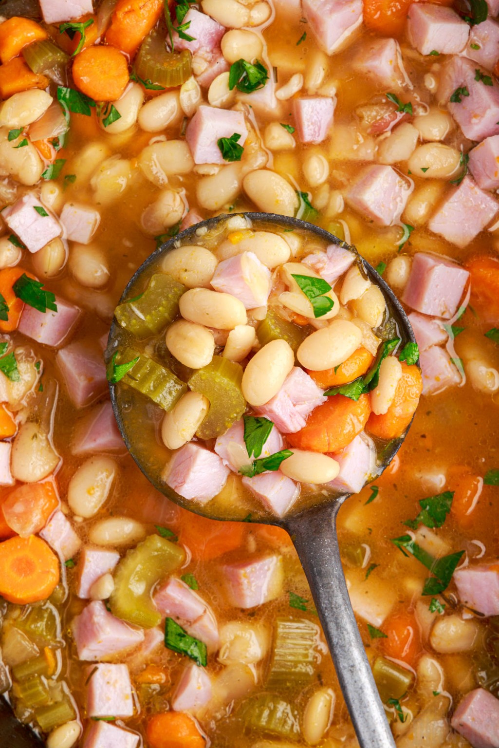 Crockpot Ham and Bean Soup Recipe Family Dinners