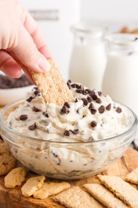 close up of hand dipping a graham cracker into cookie dough dip
